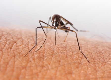 Super Simple Tricks to Protect Yourself Against the Zika Virus This Summer