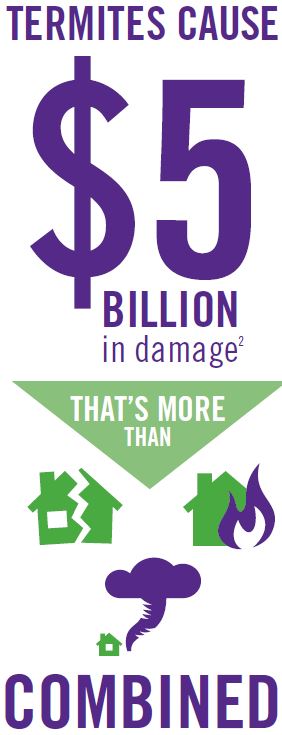 Sentricon_Damage_Billion_Dollars