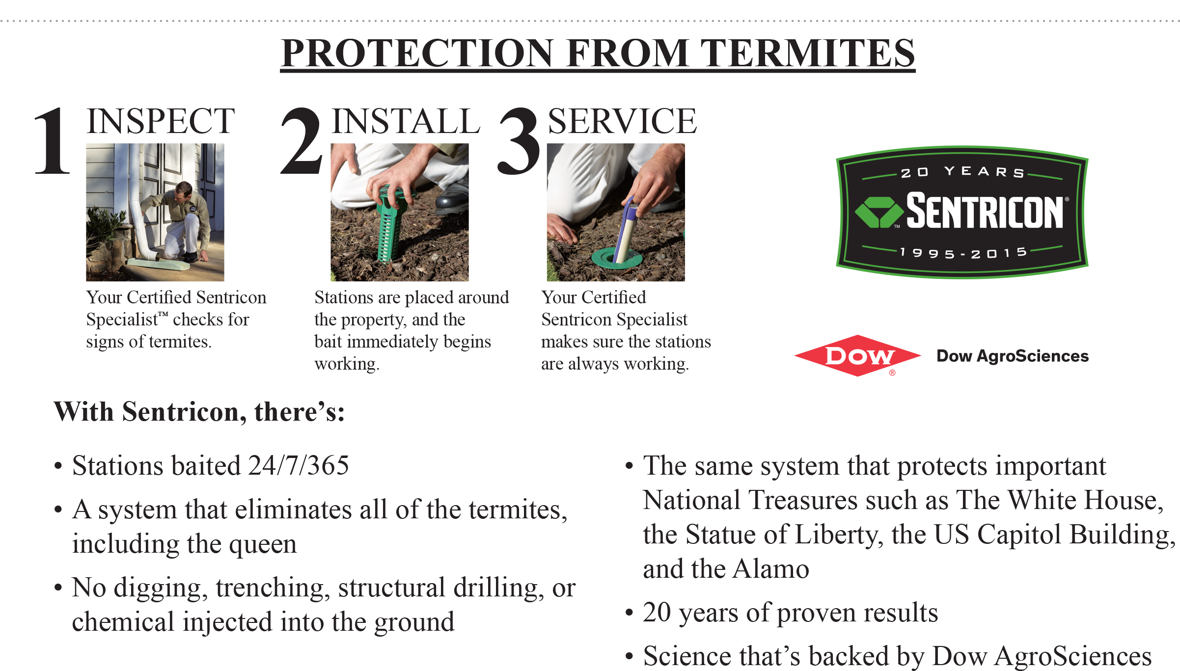 Termite Control Dallas