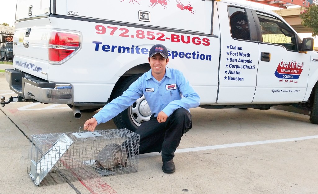 Wildlife- armidillo with tech
